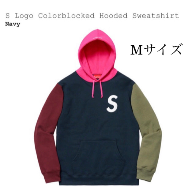 S Logo Colorblocked Hooded sweatshirt