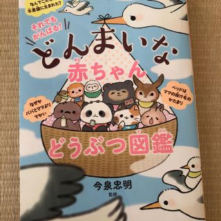 どんまいな赤ちゃんどうぶつ図鑑(絵本/児童書)