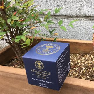 ニールズヤード(NEAL'S YARD)のニールズヤード フランキンセンス インテンス リフト クリーム ５０ｇ(フェイスクリーム)