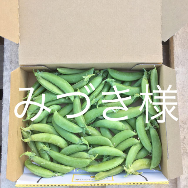 鹿児島産スナップエンドウ箱込み500g^_^ 食品/飲料/酒の食品(野菜)の商品写真