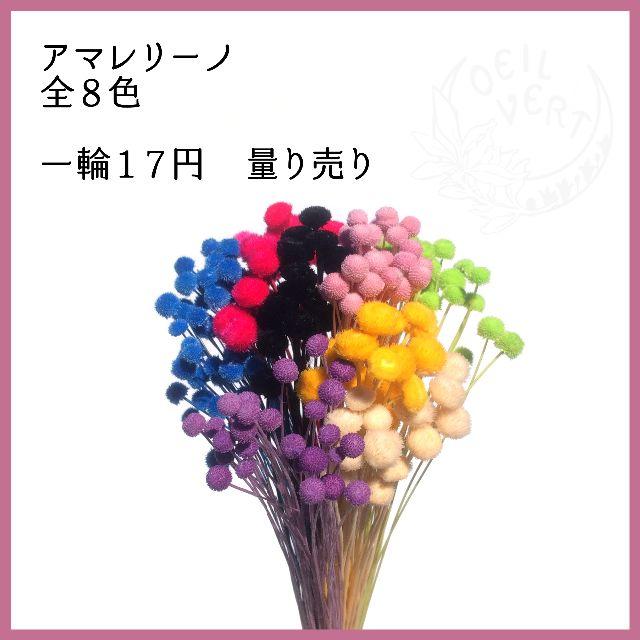 【1本17円】アマレリーノ　全8色　量り売り ハンドメイドのフラワー/ガーデン(ドライフラワー)の商品写真