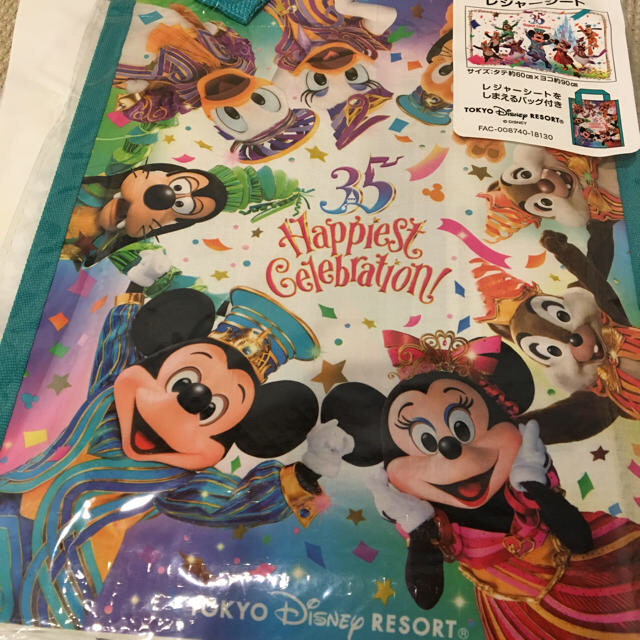 Disney(ディズニー)のレジャーシート スポーツ/アウトドアのアウトドア(その他)の商品写真