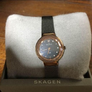 スカーゲン(SKAGEN)のスカーゲン時計(電池あります)(腕時計)