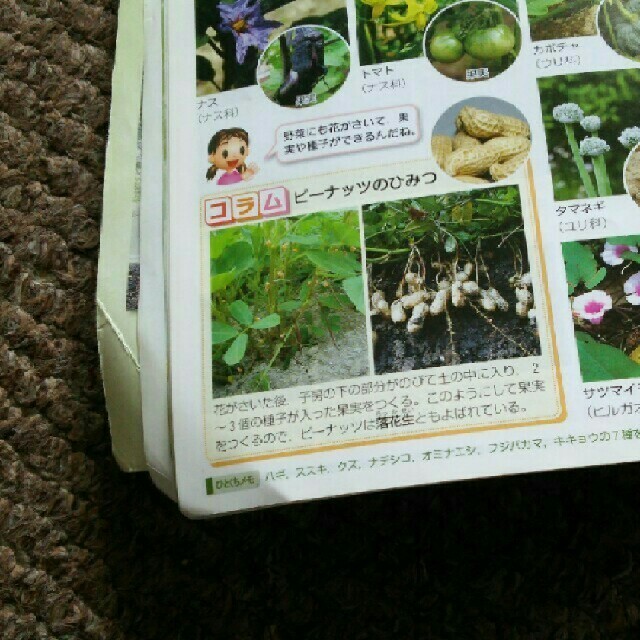 SAPIX/理科コアプラス/ジュニア理科資料の通販 by kotty's shop SAPIX/理科コアプラス/ジュニア理科資料の通販 by kotty's shop