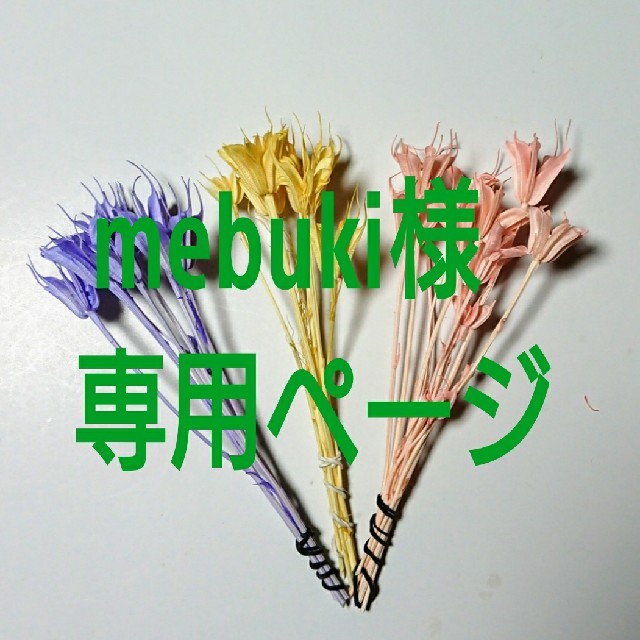 mebuki様専用ページ ハンドメイドのフラワー/ガーデン(プリザーブドフラワー)の商品写真
