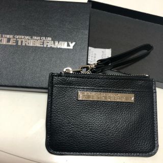 エグザイル(EXILE)のEXILE TRIBE FAMILY 記念品(名刺入れ/定期入れ)