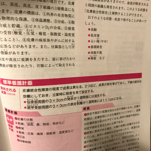 低 栄養 看護 計画