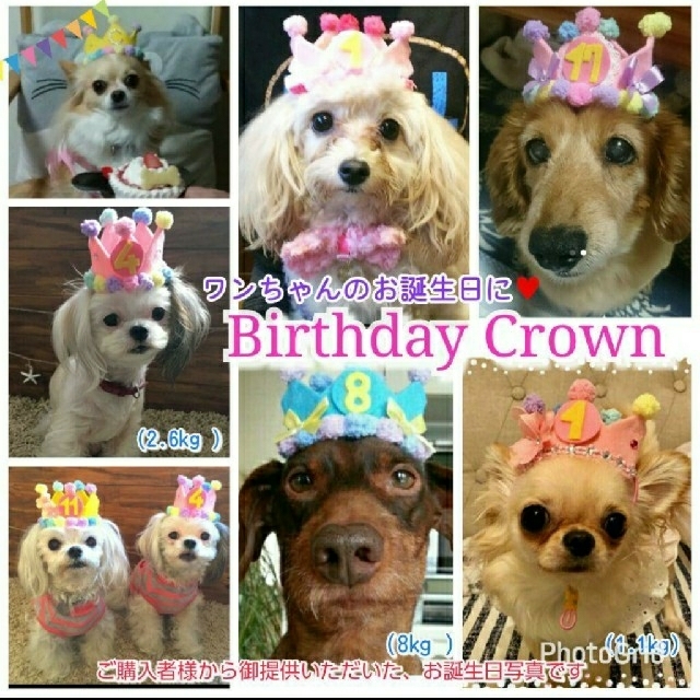犬猫バースデークラウン(りぼん)犬猫お誕生日ティアラ 帽子 フリマアプリ ラクマ
