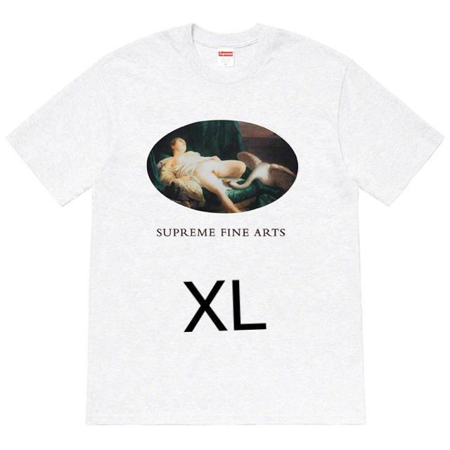 Supreme Leda And The Swan Tee XL greyTシャツ/カットソー(半袖/袖なし)