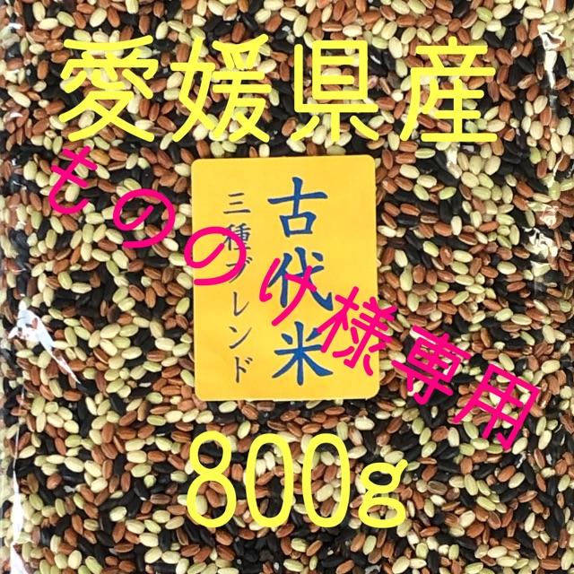 もののけ様専用  古代米3種ブレンド　愛媛県産　1600ｇ 食品/飲料/酒の食品(米/穀物)の商品写真