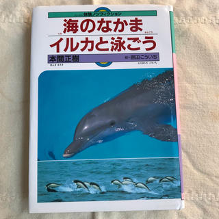 海のなかま　イルカと泳ごう(絵本/児童書)