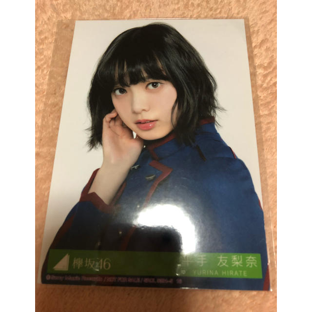 欅坂46(けやき坂46)(ケヤキザカフォーティーシックス)の専用🌸 エンタメ/ホビーのタレントグッズ(アイドルグッズ)の商品写真