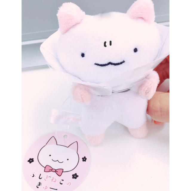 ふしぎねこのきゅーちゃん エンタメ/ホビーのおもちゃ/ぬいぐるみ(キャラクターグッズ)の商品写真