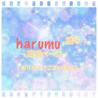 harumu様専用ページ♡(テープ/マスキングテープ)