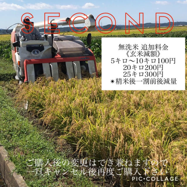 新米☆大粒☆特A取得☆宮城県産ササニシキ25キロ 2