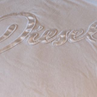 ディーゼル(DIESEL)のDiesel  ロゴTシャツ♡(Tシャツ/カットソー(半袖/袖なし))