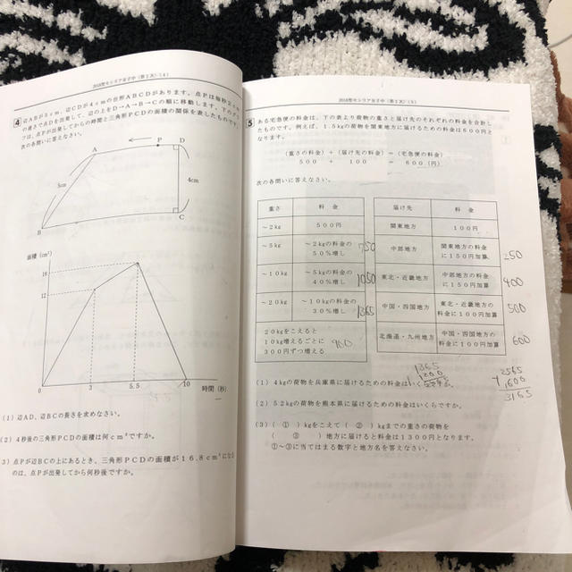 旺文社(オウブンシャ)の聖セシリア女子中学校 2019年度用3年間スーパー過去問声教の中学過去問シリーズ エンタメ/ホビーの本(語学/参考書)の商品写真