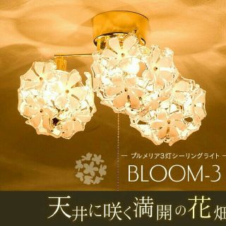 ブルーム(BLOOM)のチョッパー様専用♥プルメリア３灯シャンデリア♥ブルーム中古♥(天井照明)