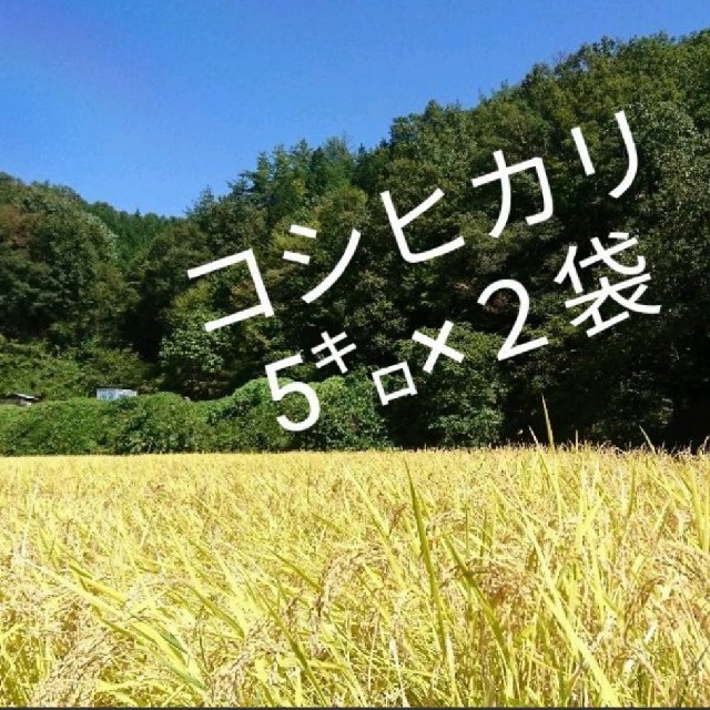 5kg✕２ 新米 30年産  精米　こしひかり 山からの蛍の舞う清水で育ったお米