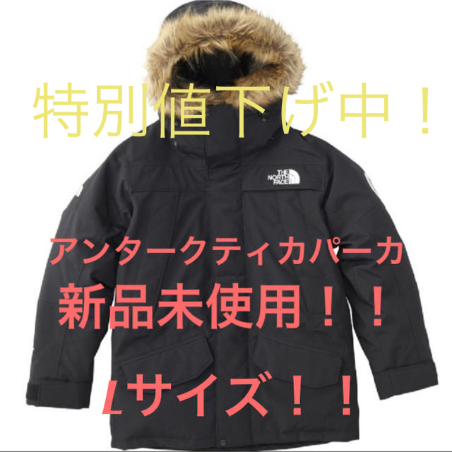 爆買い!】 THE NORTH Lサイズ アンタークティカパーカ ノース