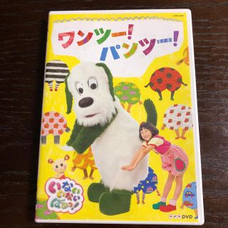 いないいないばあ☆ワンツーパンツー DVD(キッズ/ファミリー)