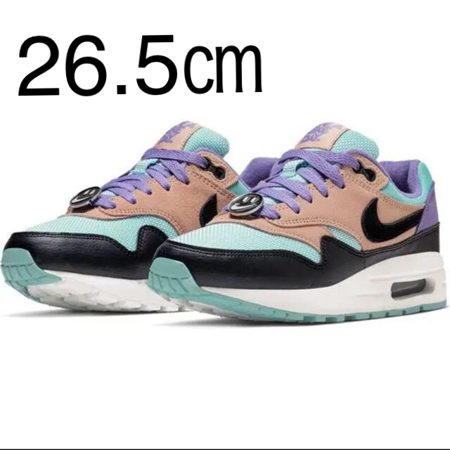 26.5cm NIKE AIR MAX 1 HAVE A NIKE DAY