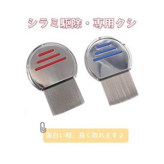 しらみ取り専用櫛　ニットコーム　ノーブランド(ヘアブラシ/クシ)