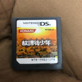 ニンテンドーDS(ニンテンドーDS)のDSソフト(家庭用ゲームソフト)