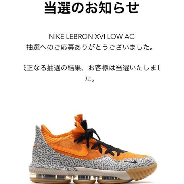 atmos(アトモス)のATMOS × NIKE LEBRON 16 SAFARI  26.5cm メンズの靴/シューズ(スニーカー)の商品写真