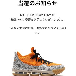 アトモス(atmos)のATMOS × NIKE LEBRON 16 SAFARI  26.5cm(スニーカー)