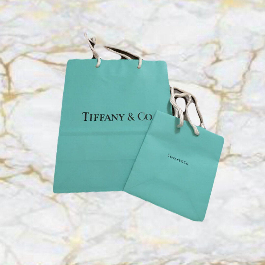 Tiffany & Co.(ティファニー)のティファニー ショップ袋 2枚セット レディースのバッグ(ショップ袋)の商品写真