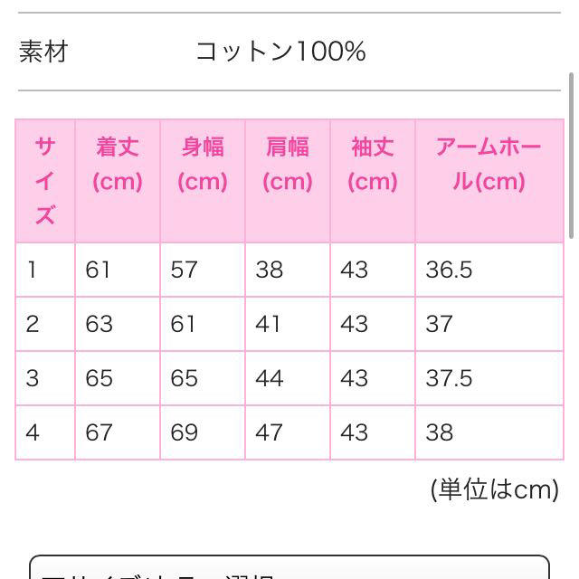 PUNYUS(プニュズ)のバルーン袖ブラウス レディースのトップス(シャツ/ブラウス(長袖/七分))の商品写真