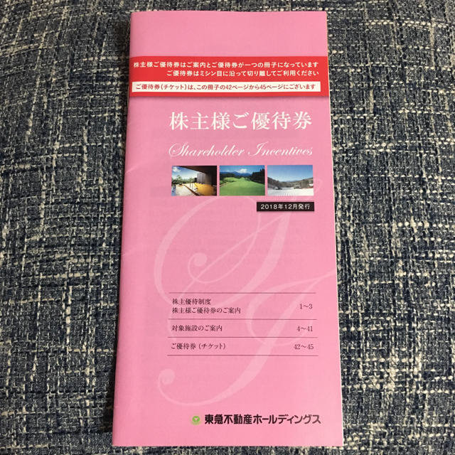 東急不動産ホールディングス 株主優待券 チケットの優待券/割引券(宿泊券)の商品写真