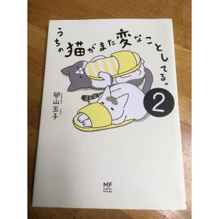 うちの猫がまた変なことしてる ２(4コマ漫画)