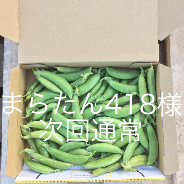 鹿児島産スナップエンドウ箱込み500ｇ^_^次回通常 食品/飲料/酒の食品(野菜)の商品写真