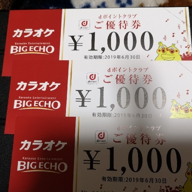 ビッグエコー　優待券　3000円分 チケットの優待券/割引券(その他)の商品写真