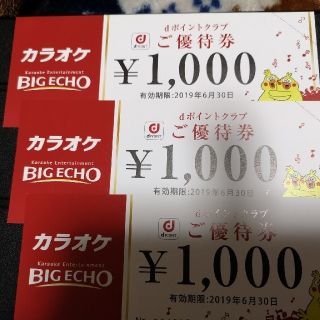 ビッグエコー　優待券　3000円分(その他)