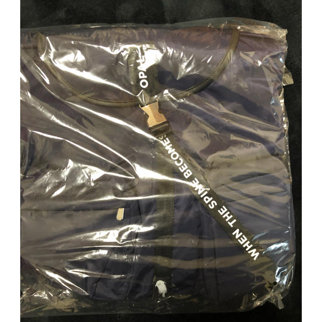 オパールリュック（バッグ付き） メンズのバッグ(バッグパック/リュック)の商品写真