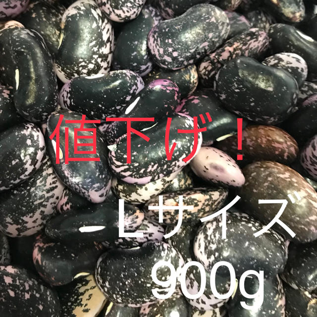 紫花豆 Lサイズ 900g 食品/飲料/酒の食品(その他)の商品写真