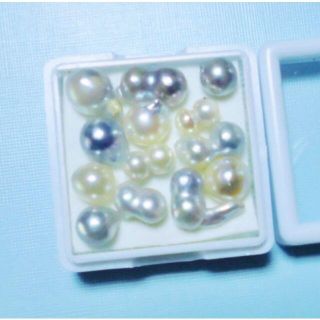 ☆天然パール( pearl) 南洋 白蝶真珠 13pcs 18.9ct ｹｰｽ付(その他)