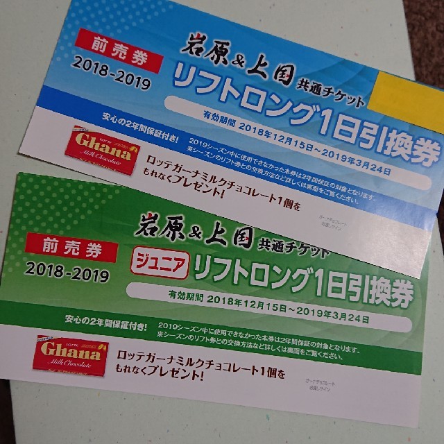 上越国際 岩原スキー場 共通リフト一日券 大人2枚 子供2枚 - その他