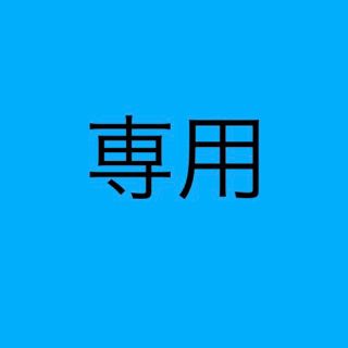 多摩電子工業 AxinG Lightning変換アダプタ(バッテリー/充電器)