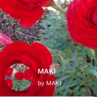 MAKI様 専用(フード/ドリンク券)