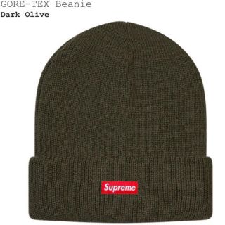 Supreme GORE-TEX Beanie(ニット帽/ビーニー)