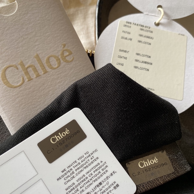 Chloe(クロエ)のレアカラー　クロエ　エロイーズ　ショルダーバッグ　正規品【購入定価　約33万円】 レディースのバッグ(ショルダーバッグ)の商品写真