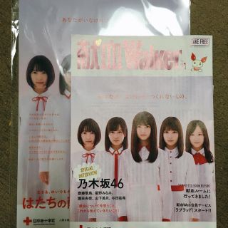 ノギザカフォーティーシックス(乃木坂46)の乃木坂46 クリアファイル(アイドルグッズ)