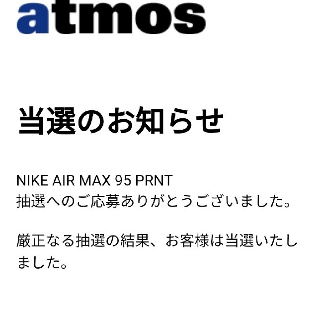 NIKE(ナイキ)のNIKE AIRairmax95 atmos 27.5cm メンズの靴/シューズ(スニーカー)の商品写真