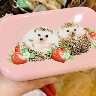ハリネズミ 缶入り ラスクチョコ(菓子/デザート)