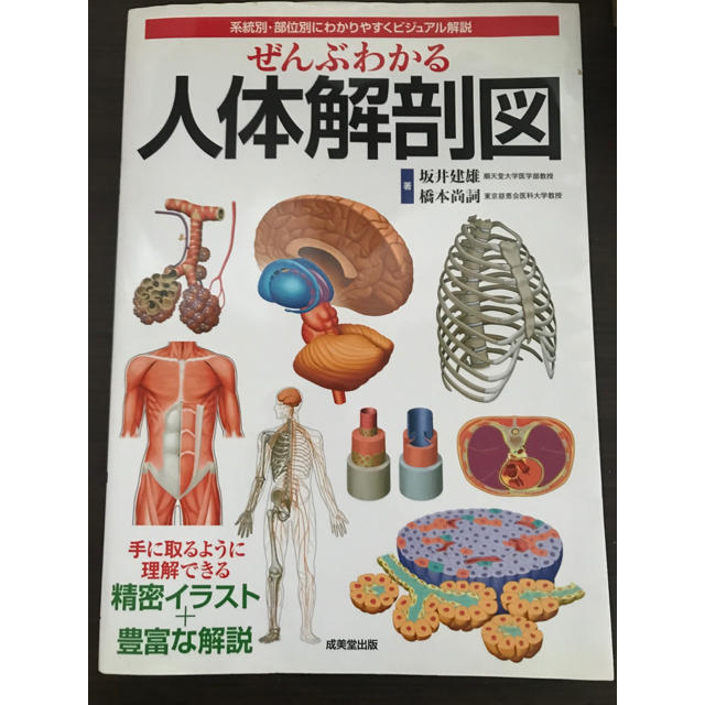 人体解剖図 エンタメ/ホビーの本(健康/医学)の商品写真