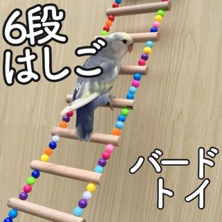 【新品】インコ オウム 鳥 小動物 はしご おもちゃ 木製 ビーズ 文鳥(鳥)